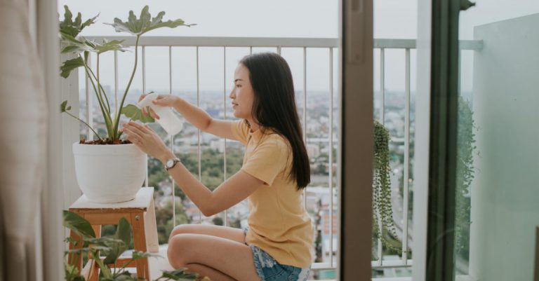 Lunar new year renovation and balconies