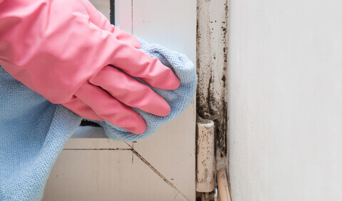 A pink gloved hand cleaning dirt off the window