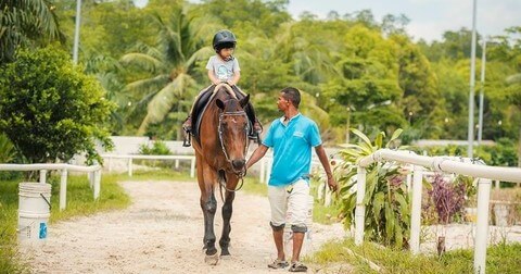 Enjoy a horse-riding experience at Sinar Eco Resort
