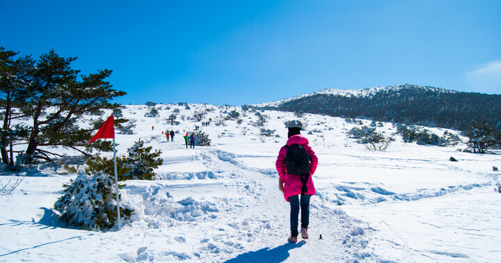 Snowscape in Jeju, South Korea