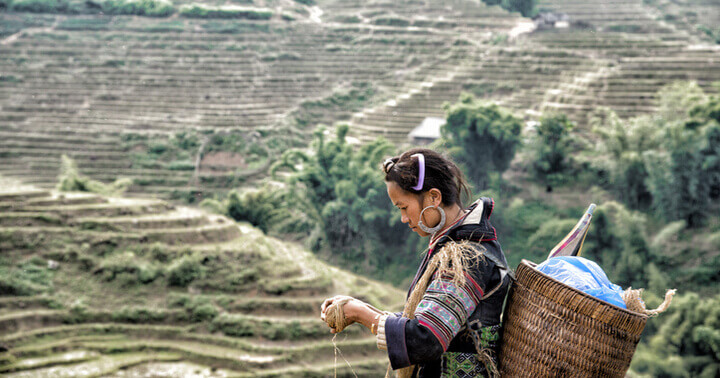 Lady in ethnic costume on the rolling hills of Sapa, Vietnam