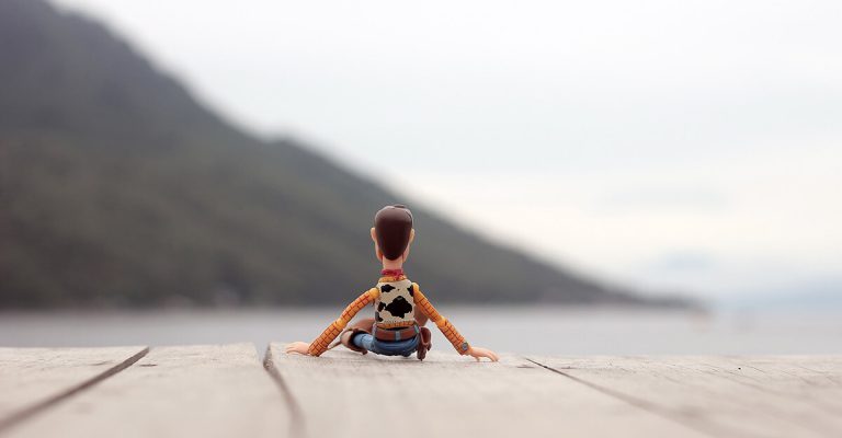 A lone toy looking out at sea