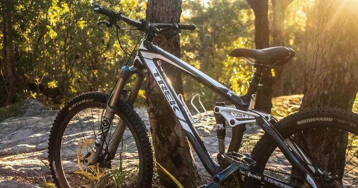 A hybrid bicycle resting against a tree in a forest