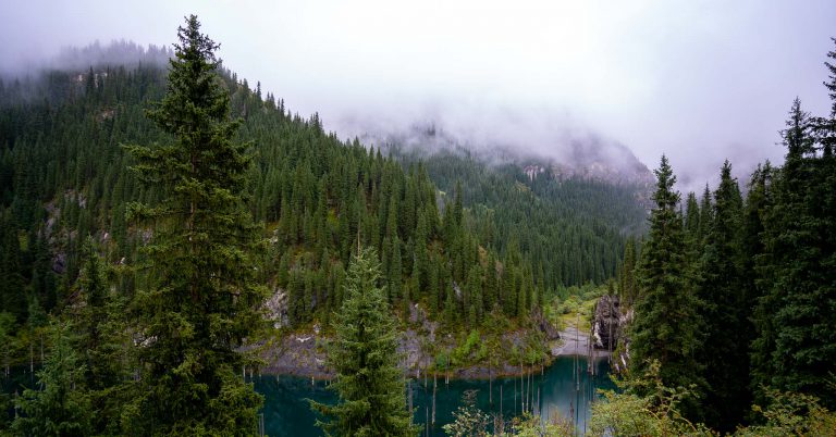 Lake Kaindy - things to do in Almaty